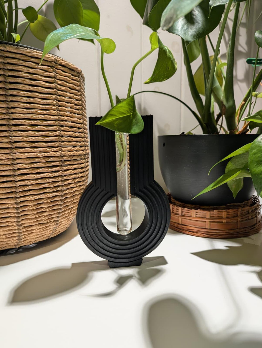 Wall-mounted plant propagation station for rooting plant cuttings