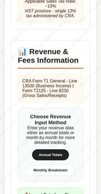 Etsy Income Tax & HST Calculator for Canadian Sellers - CRA template, installed view