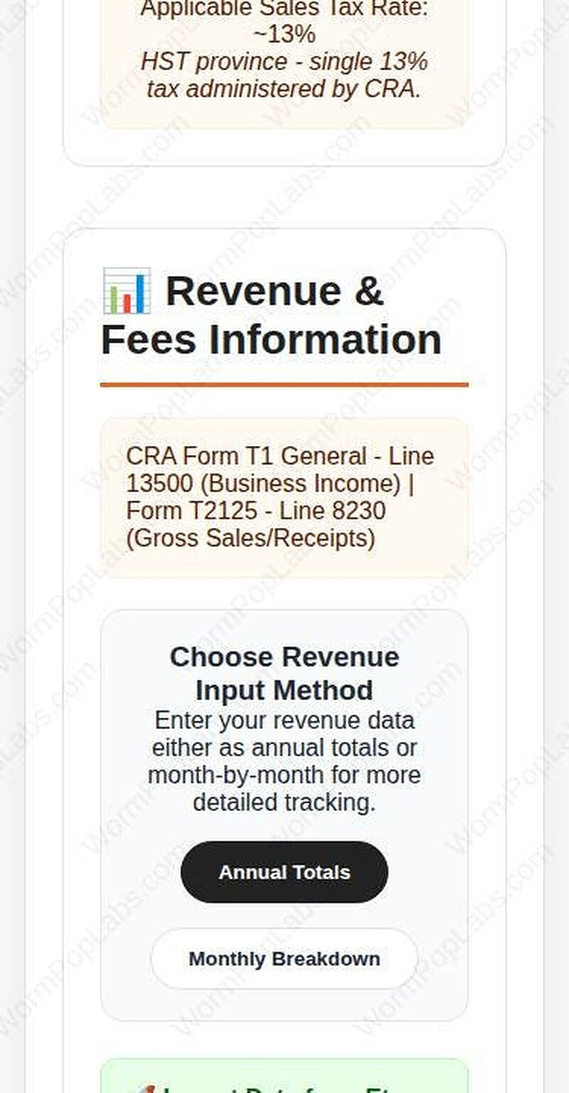 Etsy Tax & Bookkeeping Template for Canadian Small Business template, installed view