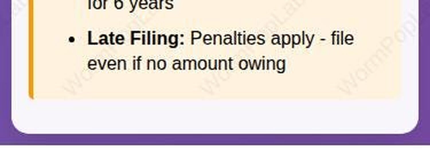 Etsy HST Remittance Calculator - CRA Tax Form Helper template, variant view