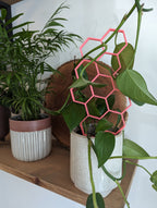 Hexagon Plant Climbing Trellis - House Plant Support Lattice - Gray