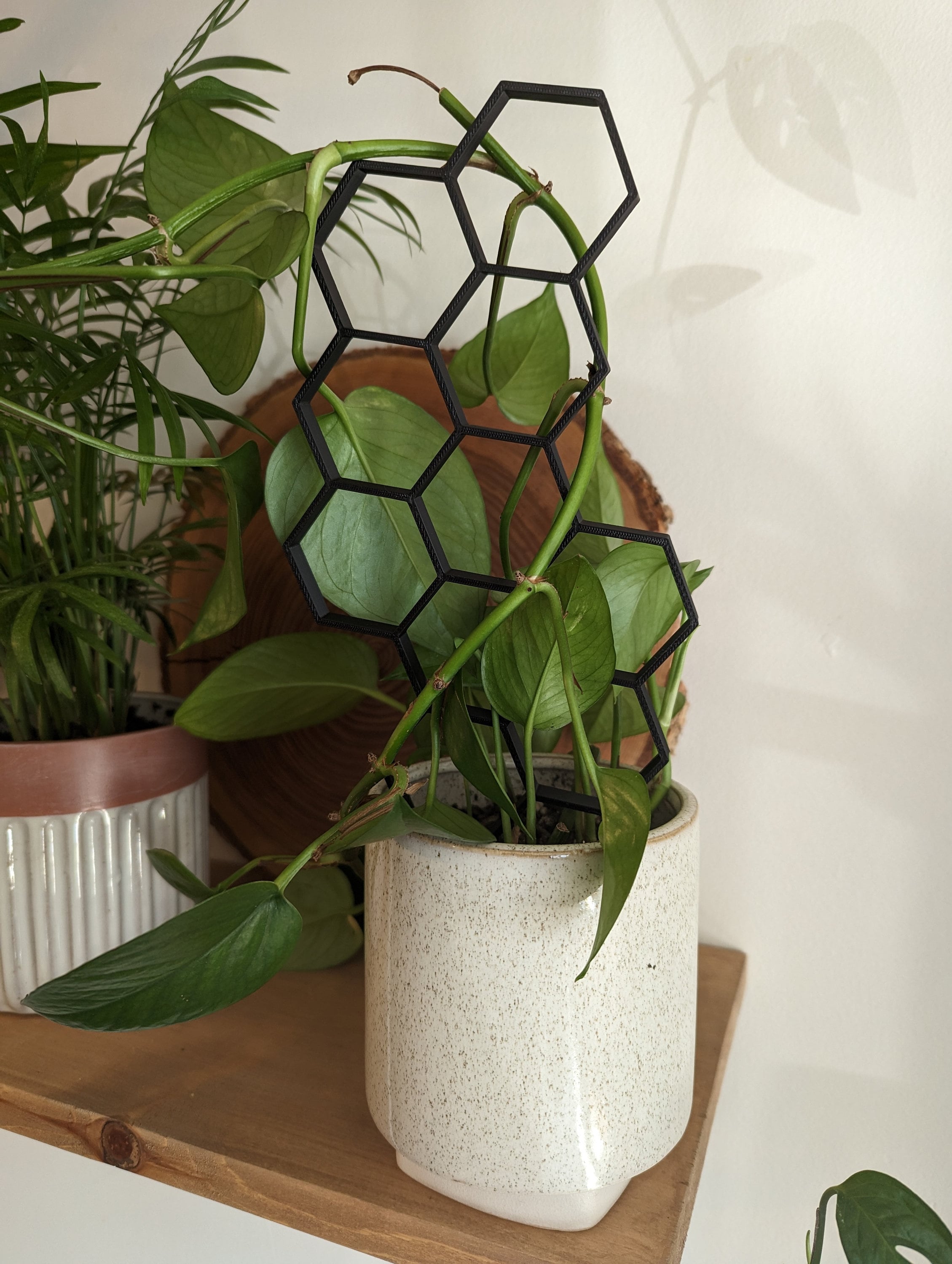 hexagon plant trellis Hexagon Plant Trellis – Worm Pop Labs