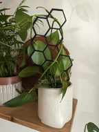 Hexagon Plant Climbing Trellis - House Plant Support Lattice - Pink