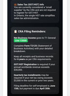 Canadian Shopify & Etsy Tax Template - CRA T2125 Form Helper template, product view