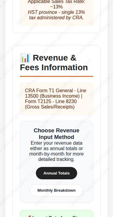 Etsy Tax & Bookkeeping Template for Canadian Small Business template, installed view