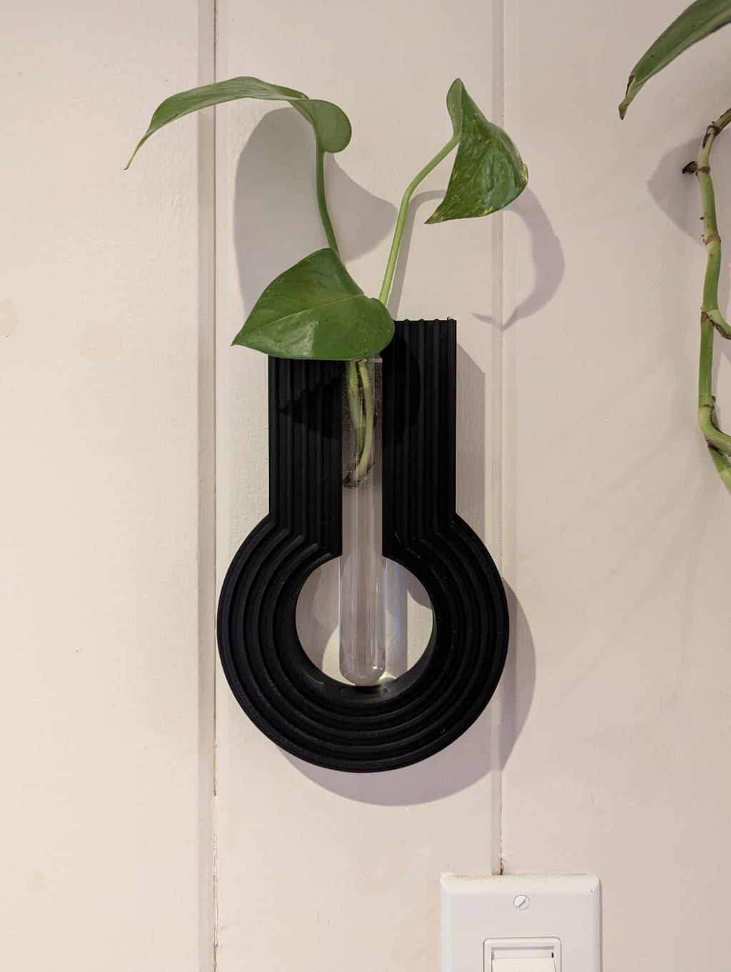 Wall-Mounted Plant Propagation Station - Glass Rooting Vases plant propagation station, detail view