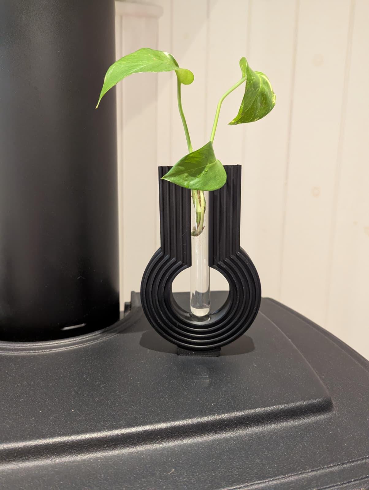 Wall Mounted Plant Propagation Station, Desk Planter for Plant Cuttings, Minimalist Rooting Vase, Water Bonsai Tube Holder - Black 3