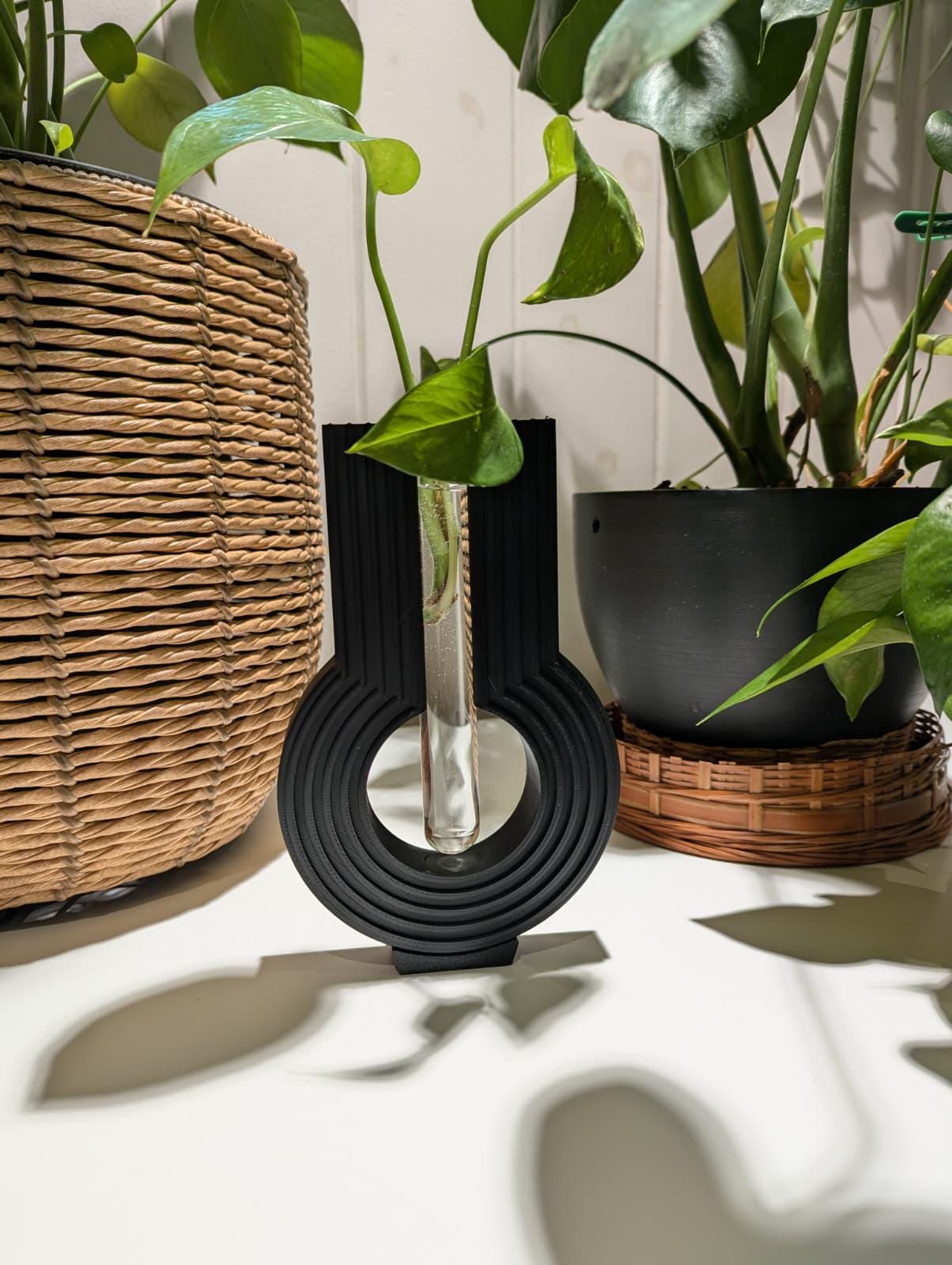 Wall Mounted Plant Propagation Station, Desk Planter for Plant Cuttings, Minimalist Rooting Vase, Water Bonsai Tube Holder