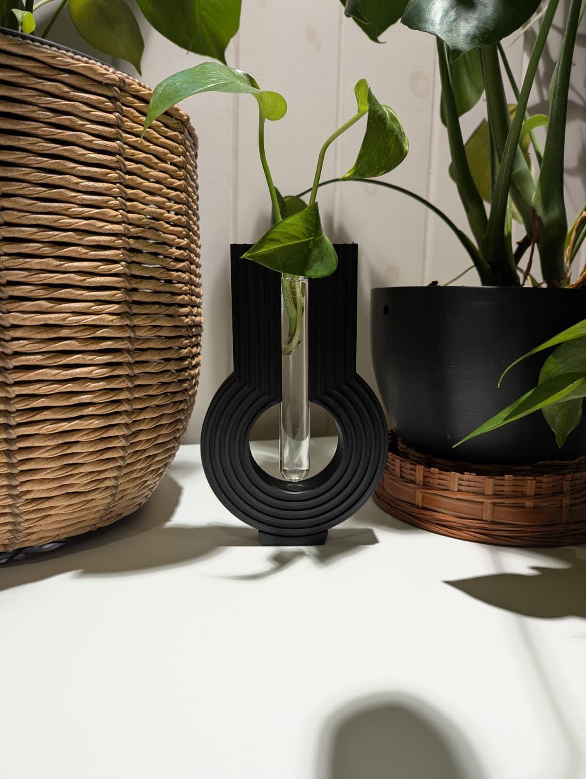 Wall-Mounted Plant Propagation Station - Glass Rooting Vases plant propagation station, product view