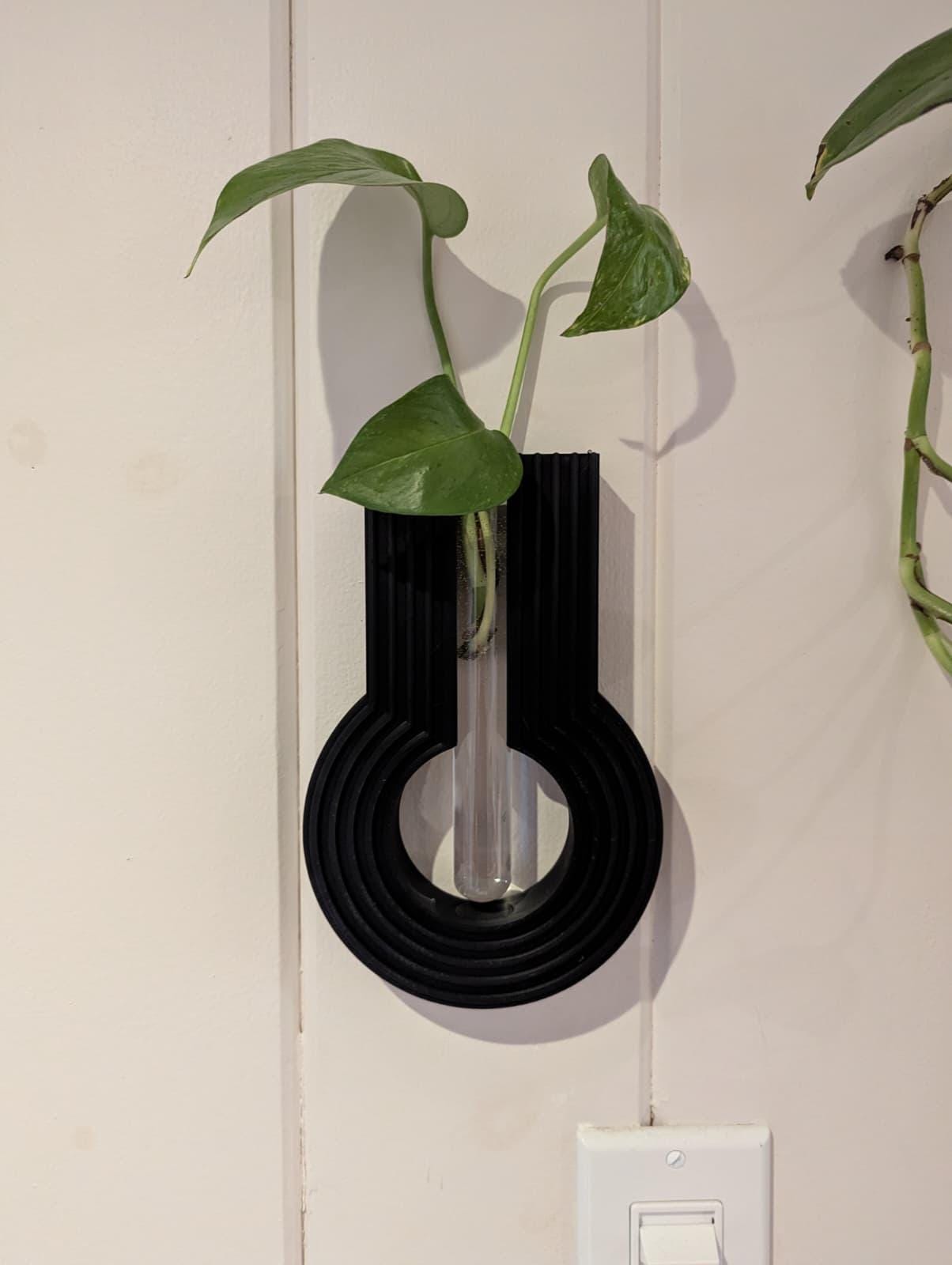 Wall-Mounted Plant Propagation Station - Glass Rooting Vases plant propagation station, product view