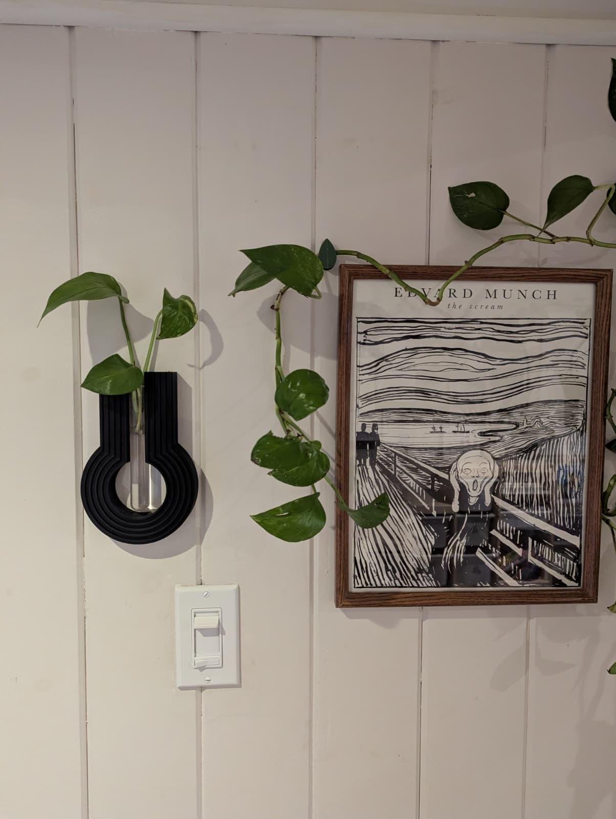 Wall-Mounted Plant Propagation Station - Glass Rooting Vases plant propagation station, product view