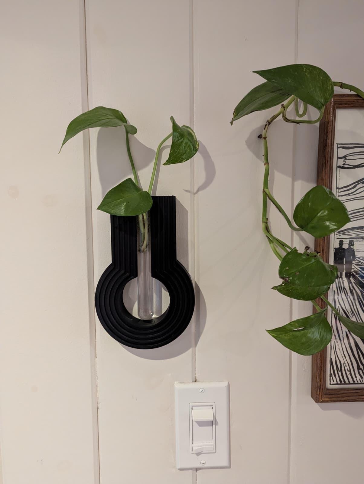 Wall Mounted Plant Propagation Station, Desk Planter for Plant Cuttings, Minimalist Rooting Vase, Water Bonsai Tube Holder - Black 2