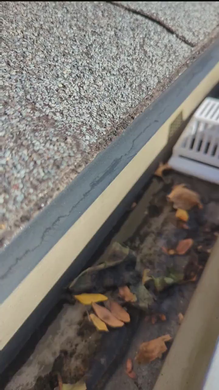 LeafEnemy - Gutter Downspout Filter & Leaf Catcher | Gutter Guard / Roof Drain Strainer  | Easy Install Debris Guard