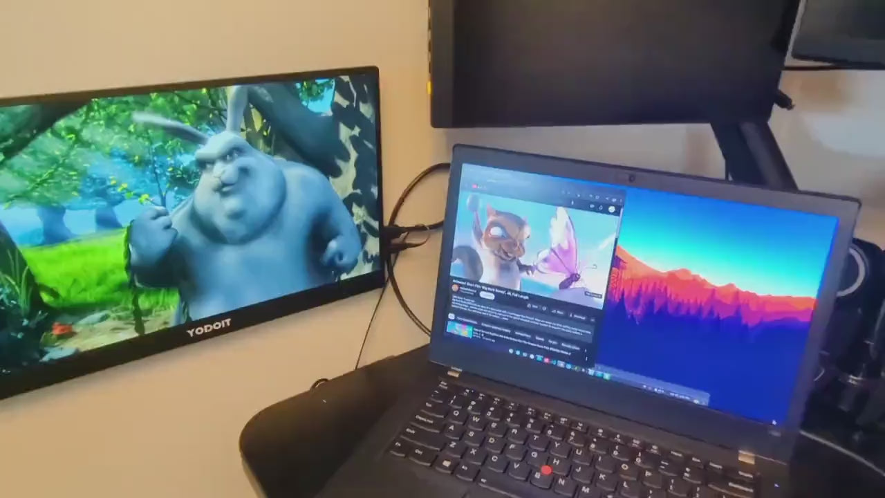 Slim Portable Monitor Mount - Low Profile